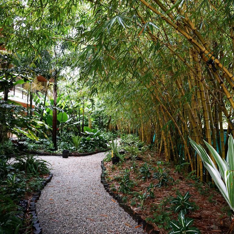 Jacana Amazon Wellness Resort Paramaribo Esterno foto