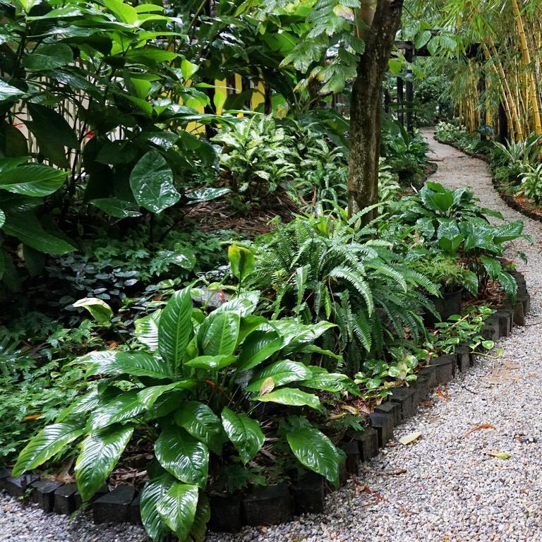 Jacana Amazon Wellness Resort Paramaribo Esterno foto